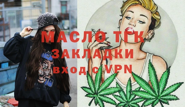 хмурый Ладушкин