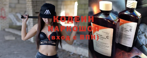 хмурый Ладушкин