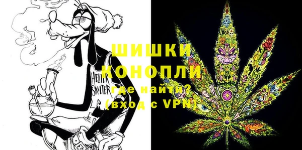бутират Лагань