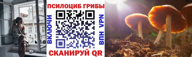 Галлюциногенные грибы мухоморы  Купить где  Оренбург 